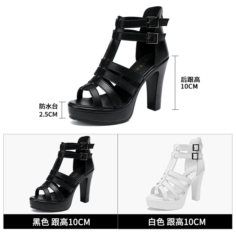 Gladiator Ladies Shoe for Wome – обзор и цена Casual Sandal Leather